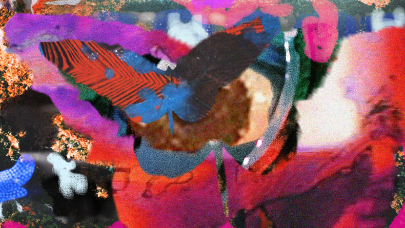 trout aiff26 mixed media animation 08